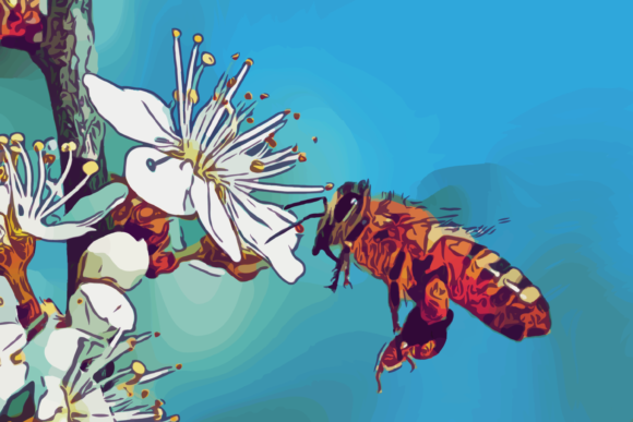 Download Bee in Apple Flowers - Premium Resources