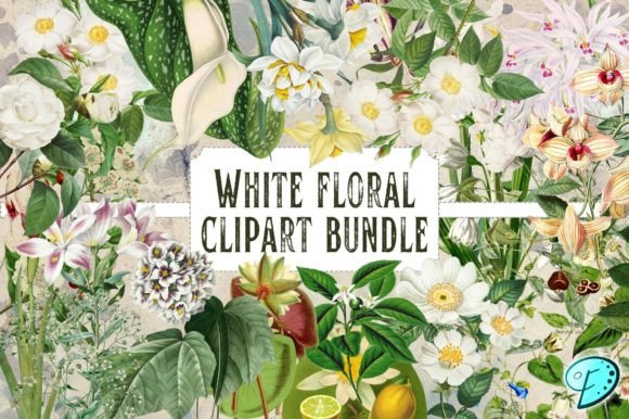 Download White Floral Vintage Clipart Bundle - White Collection